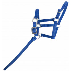 Cavezzone puledro sintetico T de T