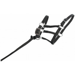 Cavezzone puledro sintetico T de T Nero