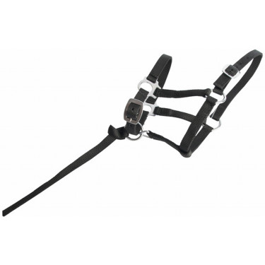 Cavezzone puledro sintetico T de T Nero