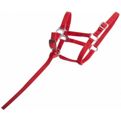 Cavezzone puledro sintetico T de T
