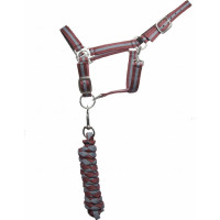 Capestro sintetico foderato + lunghina intrecciata americana T de T Bordeaux / grigio