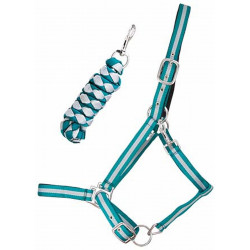 Capestro sintetico foderato + lunghina intrecciata americana T de T Turchese / grigio Blu Capestro sintetico foderato + lunghina intrecciata americana T de T Turchese / grigio Blu