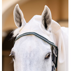 Coperta integrale Horseware Rambo hoody Pony 0g Gesso / verde cacciatore / argento Bianco Coperta integrale Horseware Rambo hoody Pony 0g Gesso / verde cacciatore / argento Bianco