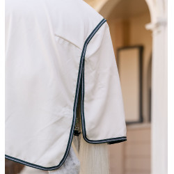 Coperta integrale Horseware Rambo hoody Pony 0g Gesso / verde cacciatore / argento Bianco Coperta integrale Horseware Rambo hoody Pony 0g Gesso / verde cacciatore / argento Bianco