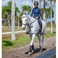 Copricrini Horseware anti-mosche Fluo Amigo Flyrider 0g Argento / grigio titanio / argento Copricrini Horseware anti-mosche Fluo Amigo Flyrider 0g Argento / grigio titanio / argento
