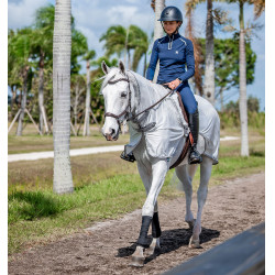 Copricrini Horseware anti-mosche Fluo Amigo Flyrider 0g Argento / grigio titanio / argento Copricrini Horseware anti-mosche Fluo Amigo Flyrider 0g Argento / grigio titanio / argento