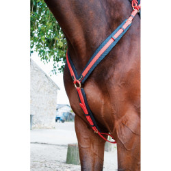 Pettorale Biotack T de T Arancione Pettorale Biotack T de T Arancione