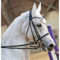 Briglia da dressage Ribera in cuoio tondo T de T Nero