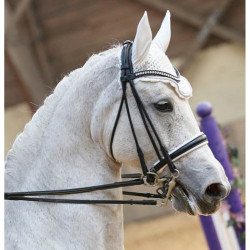 Briglia da dressage Ribera in cuoio tondo T de T