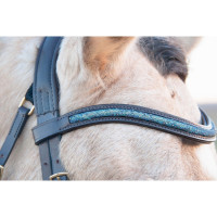 Briglia Guardi T de T Aqua capezzina anatomica in cuoio Softy Havana scuro Marrone