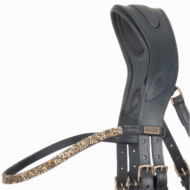 Briglia testiera anatomica Hopper T con strass a T Nero / dorato