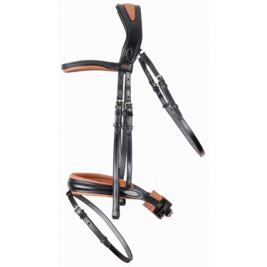 Briglia testiera anatomica Matisse T de T Briglia testiera anatomica Matisse T de T
