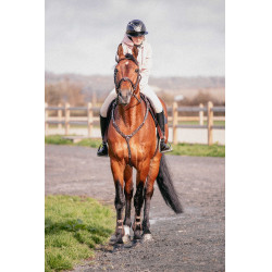 Martin collier Penelope Avana Marrone