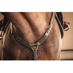 Martin collier Penelope Avana Marrone