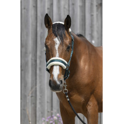 Capestro Riding World in montone sintetico Capestro Riding World in montone sintetico