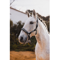 Capezzina in cuoio B Vertigo Lennox Scarabèo verde