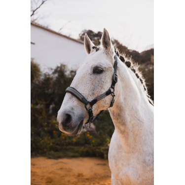 Capezzina in cuoio B Vertigo Lennox Scarabèo verde