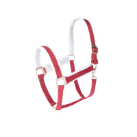 Capestro di Natale Horze Port Royale Bordeaux