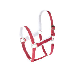 Capestro di Natale Horze Port Royale Bordeaux