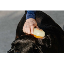 Striglia Hippotonic Vapore Crema Beige