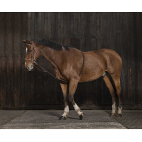 Redine Norton estensore morbido Blu navy / nero