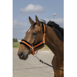Capestro Equithème Nylon Montone Capestro Equithème Nylon Montone