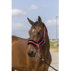 Capestro Equithème Nylon Montone Capestro Equithème Nylon Montone