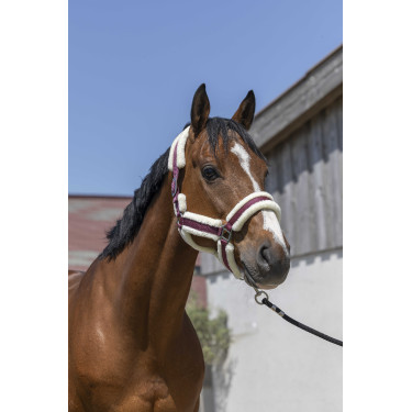 Capezzina Norton Cosy Bordeaux Capezzina Norton Cosy Bordeaux