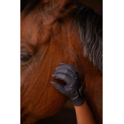 Guanti Eden by Pénélope Prisma Strass Marina Blu marino