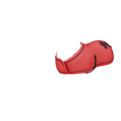 Coperta da concorso per giocattolo Mini Pony LeMieux Mirtillo rosso Rosa Coperta da concorso per giocattolo Mini Pony LeMieux Mirtillo rosso Rosa