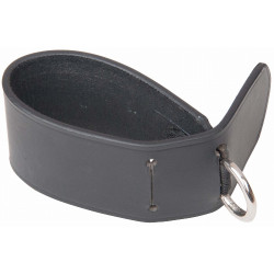 Attacco per redini ausiliarie alla circonferenza T di T