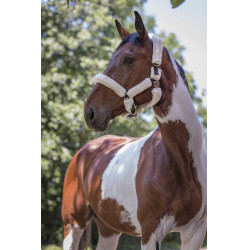 Cavezza Norton in montone sintetico Nero / écru