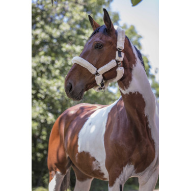 Cavezza Norton in montone sintetico Nero / écru