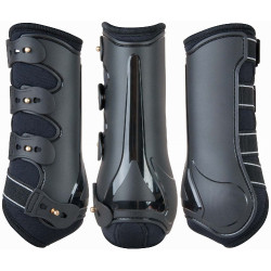Stinchiere Dressage Design T de T