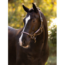 Capezza LeMieux Ropella Lilla Viola