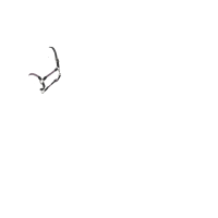 Capezza LeMieux Ropella Lilla Viola