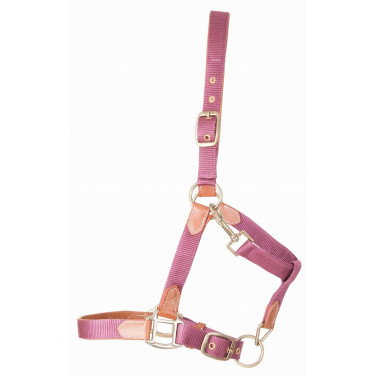 Licol en cuir et sangle T de T Bordeaux