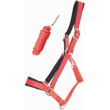 Capestro satinato foderato con lunghina rotonda T de T Capestro satinato foderato con lunghina rotonda T de T