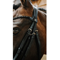 Briglia Norton Onyx Nero