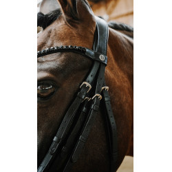 Briglia Norton Onyx Nero Briglia Norton Onyx Nero