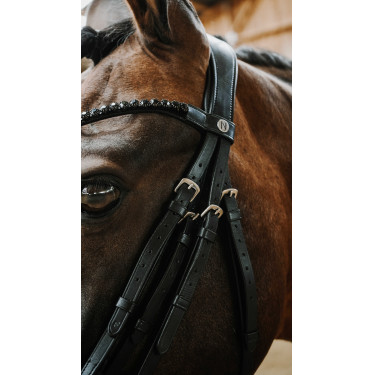 Briglia Norton Onyx Briglia Norton Onyx