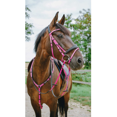 Briglia endurance Norton Pop Rosa