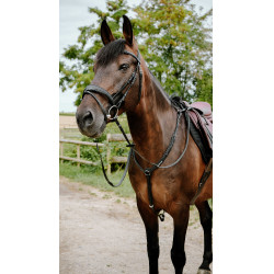 Briglia endurance Norton Pop