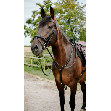 Briglia endurance Norton Pop