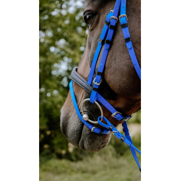 Briglia endurance Norton Pop Blu reale