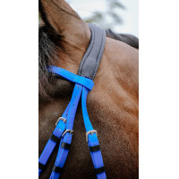 Briglia endurance Norton Pop Rosa