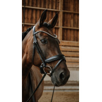 Briglia Norton Diams Nero Briglia Norton Diams Nero