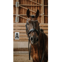 Briglia Norton Diams Nero Briglia Norton Diams Nero