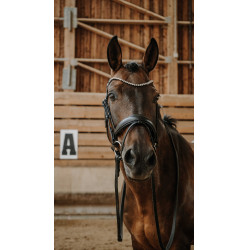 Briglia Norton Diams Nero Briglia Norton Diams Nero