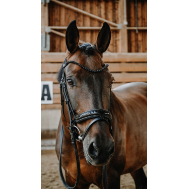 Briglia Norton Royal Briglia Norton Royal